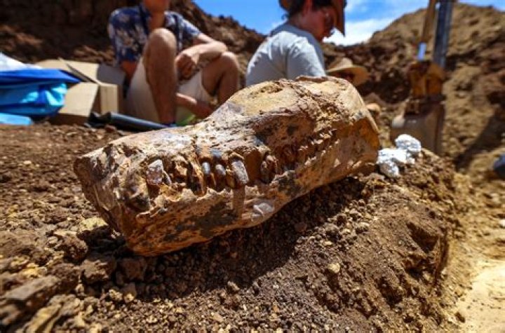 Unveiling Troy's Treasure: Discoveries With Matthew Robinson